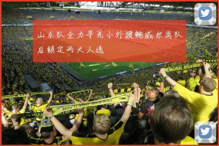 山东队全力寻觅小外援鲍威尔离队后锁定两大人选