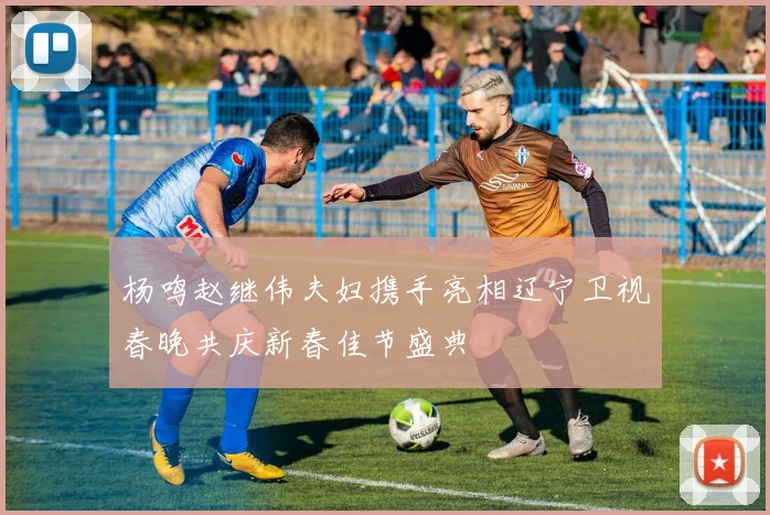 杨鸣赵继伟夫妇携手亮相辽宁卫视春晚共庆新春佳节盛典