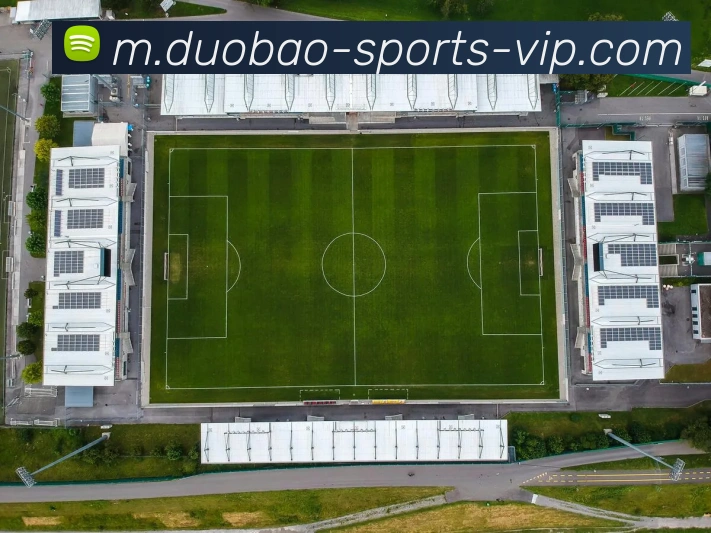 多媒体互动体验